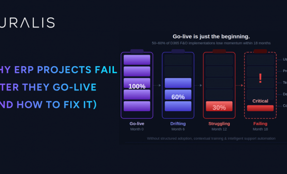 erp project fail